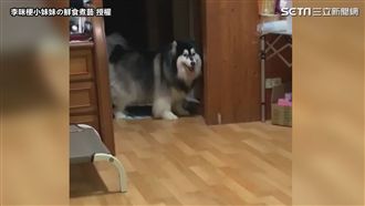 大狗怕黑？上廁所一直要人陪