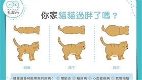 
名家專用／毛起來MAOUP（勿用）