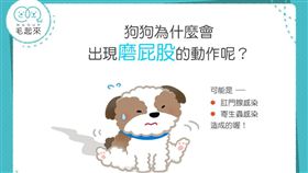 名家專用／毛起來MAOUP（勿用）