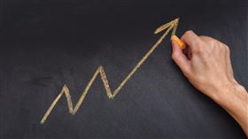 名家／MONEY錢（勿用）