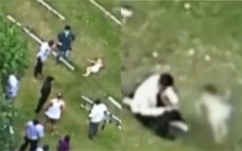 爬11樓陽台玩耍…5歲童墜樓秒慘死