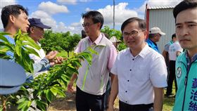 台東縣,陳吉仲,勘災,增加,農業保險(圖/中央社)