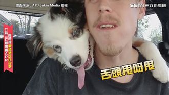 「分我一口嘛！」　狗萌趴肩頭求漢堡