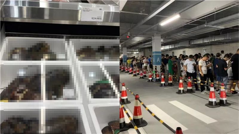 上海好市多商品曝光　陸男逛完超震撼