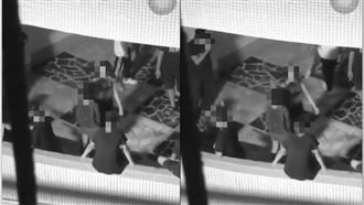 施暴女被肉搜！男友嗆鄉民：我自己教