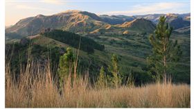 斐濟，瑙索里，nausori，Kelera Toloi，巫醫（圖／瑙索里高地／翻攝自維基百科）
