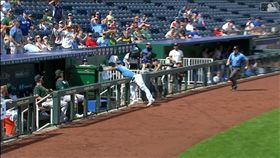 ▲皇家三壘手接球踩進板凳區，運動家打出最短距離高飛犧牲打。（圖／翻攝自MLB官網）