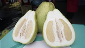 花蓮文旦正值採收期（1）花蓮文旦種植面積約1013公頃，占全國24％，目前正值採收期。中央社記者張祈攝　108年8月30日