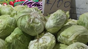 蔬菜持續減供（2）豪雨水傷造成蔬菜減供情況持續，台北傳統市場30日高麗菜3台斤100元，每顆約90到100元之間。中央社記者楊淑閔攝　108年8月30日