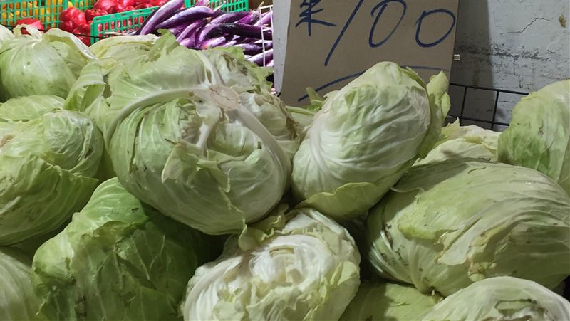 蔬菜持續減供　保收益暫不釋出庫存菜