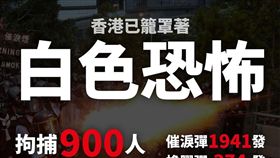 香港,反送中（圖／翻攝台灣基進臉書）