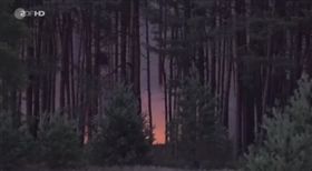德國森林大火（圖／翻攝ZDF heute‏推特）