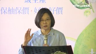 小英生日「賣文旦」　許願：台灣安全