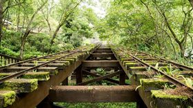花蓮,林田山,軌道,林務局,林業文化園區