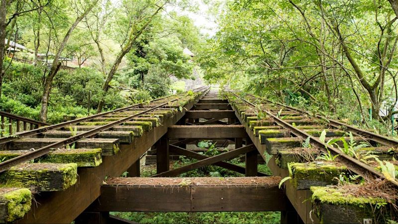 花蓮林田山　林務局擬打造文化廊道