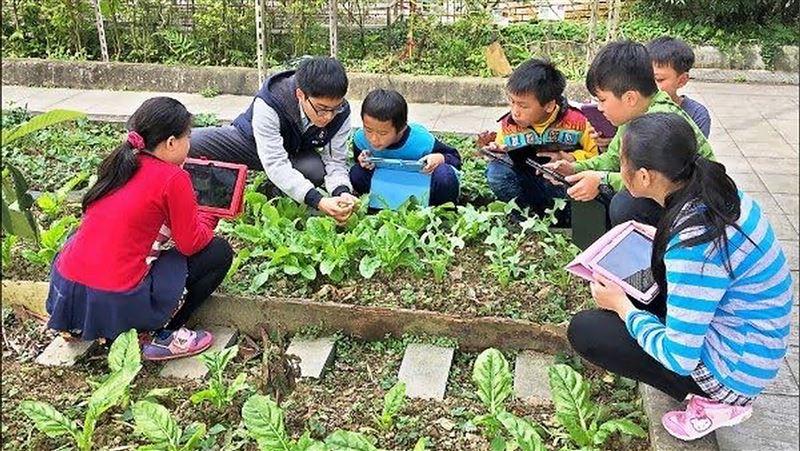 新北偏鄉國小混齡教學　增學習互動