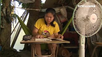 3口擠7坪…少女樹下讀書考上嘉女