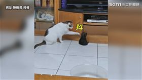 ▲毛毛手狂抖。（圖／網友 陳雅君 授權）