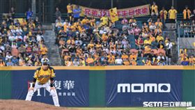 ▲兄弟35週年，球迷自發舉布條慶祝。（圖／記者王怡翔攝影）