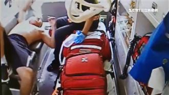 虎頭蜂出沒！2招自保見蜂群別慌