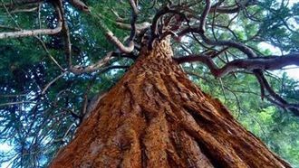 108新課綱　我們該如何幫孩子?