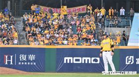 彭政閔在新莊棒球場敲出二壘打。（資料圖／記者王怡翔攝影）