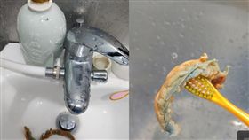  酒,二手店,外星生物,爆廢公社,發霉。https://www.facebook.com/search/top/?q=這是什麼外星生物嗎&epa=SEARCH_BOX