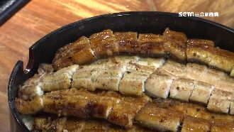 膠原蛋白多！廚師解密這種鰻魚最營養