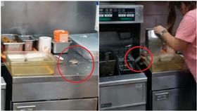 工作台上「米奇」亂竄！女鐵盒倒扣想抓　牠下秒跳油鍋求生（圖／翻攝自YouTube）