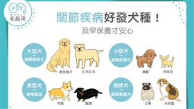 
名家專用／毛起來MAOUP（勿用）