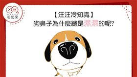 名家專用／毛起來MAOUP（勿用）