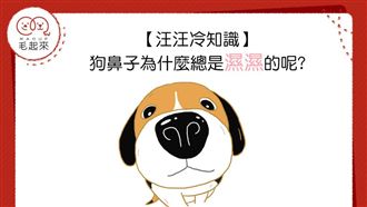 狗狗鼻子總是濕濕的　這是為什麼呢?