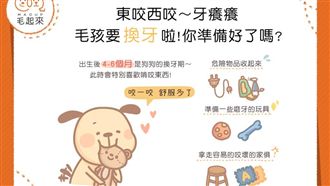 東咬西咬毛孩要換牙啦！你準備好了嗎