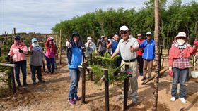 澎湖造林綠美化　盼打造花園城市澎湖縣長賴峰偉（前右2）4日前往白沙講美等地親植南洋杉時表示，今年縣府植樹已達7.4公頃，目標上看10公頃，希望打造澎湖為綠意盎然的花園城市。中央社　108年9月4日