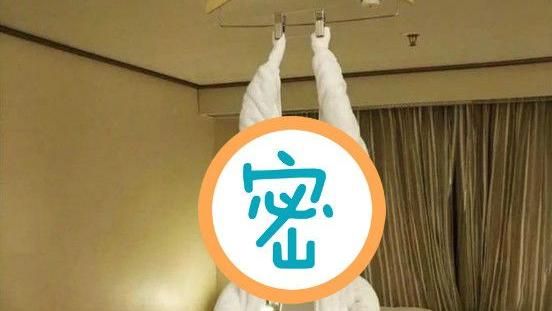 飯店房驚見「它」吊掛！網嚇：會閃尿