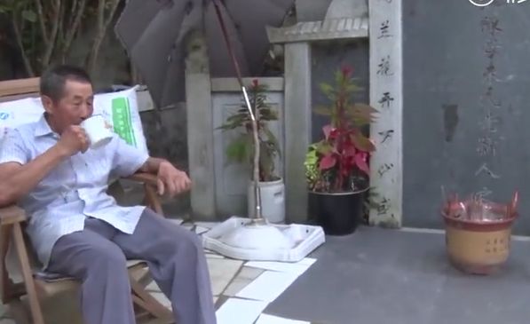 只要能走就會來！老人守妻墓種花十年