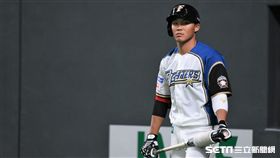 ▲日本火腿王柏融。（資料圖／記者王怡翔攝影）