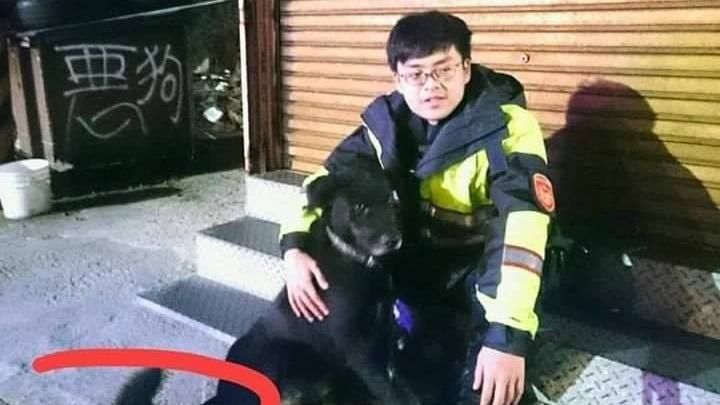 浪浪吵鬧擾民　警苦勸後牠回應了！