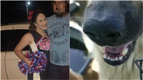 許多天性較兇猛的狗狗都有攻擊人的舉動，飼主若沒做好妥善管理，可能就會釀成悲劇！美國一名19歲的正妹奧西亞（Adrieanna O'shea），在上月23日回家拿錢包時，突然就被5隻狗攻擊，奧西亞放聲尖叫，拼命想逃走，但還是被大狗緊咬，鄰居聽到聲音後前來查看，發現奧西亞被狗包圍，甚至一度被咬起來拋飛，事後奧西亞被送醫急救，但仍宣告不治身亡。（示意圖／翻攝自Knox news）