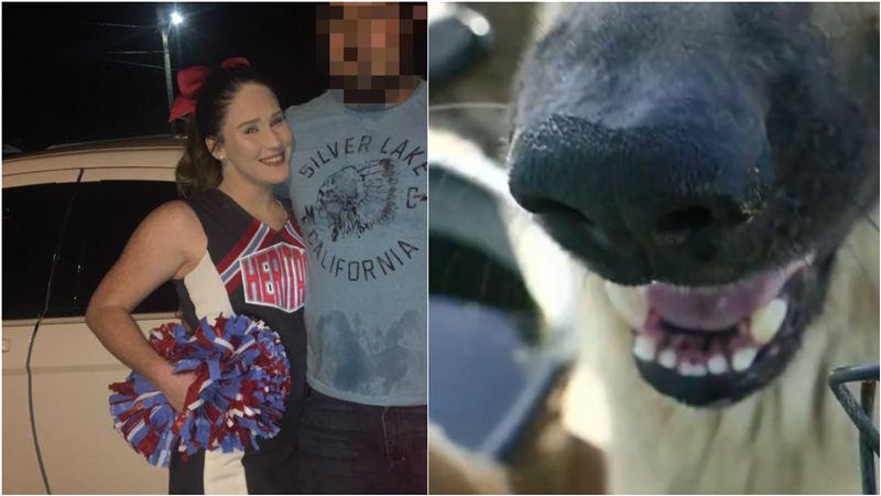 正妹慘遭5犬追咬尖叫！鄰居草叢見屍