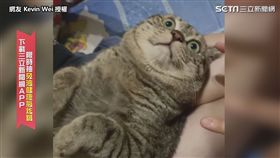 ▲邦邦整個石化的模樣超可愛。（圖／網友Kevin Wei　授權）