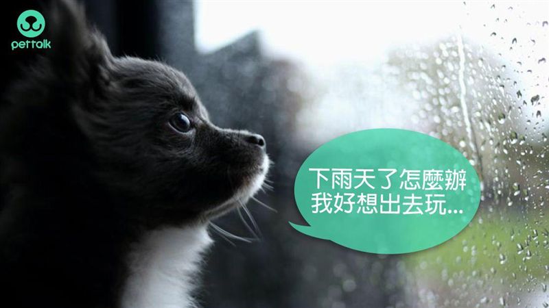 還在颱風季　傳染病菌伺機而動