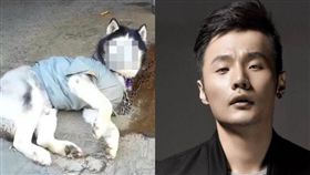 街景,馬賽克,李榮浩,人面犬