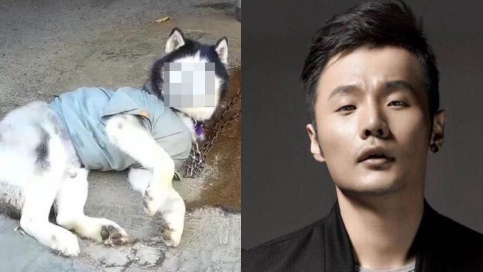 街景認證！「人面犬」撞臉李榮浩