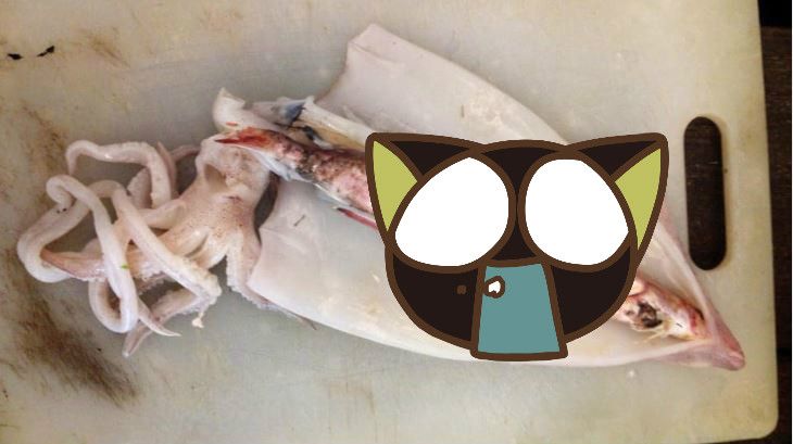 透抽肚藏3魚！以為賺翻…黑心內幕曝