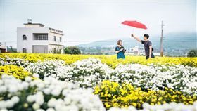 攝影師，照片，拍照，美照，構圖（翻攝自IG stanley_pic）