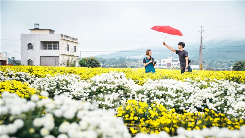 如何拍出網美照？攝影師教你最強神技