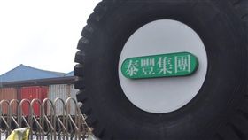台商,泰豐輪胎,回流,就業機會,投資申請案