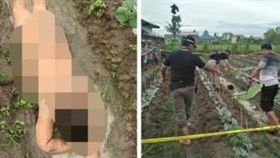 裸體女屍橫躺黃瓜田！嘴角冒泡耳朵流血　路人嚇呆急報警（圖／翻攝自《中國報》）