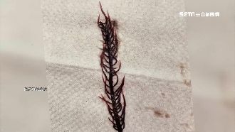 鹽水雞驚見「蜈蚣」！老饕：這道必點